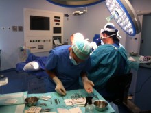 Técnica FUE: El Dr. Ramiro Yane, durante una intervneción de trasplante capilar